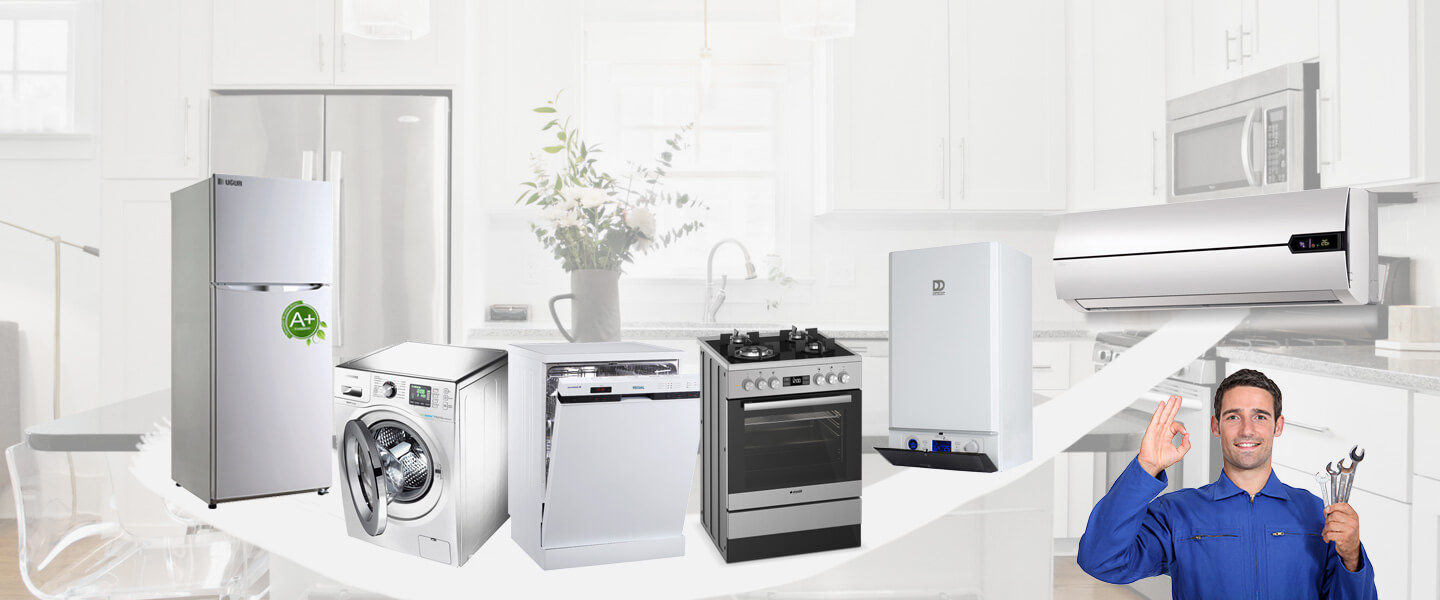 Akçakoca Grundig Servisi